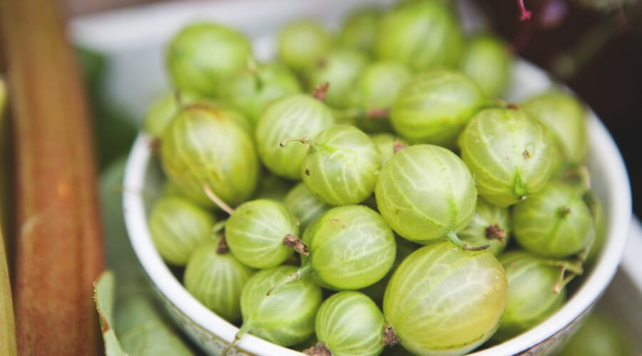 Gooseberries
