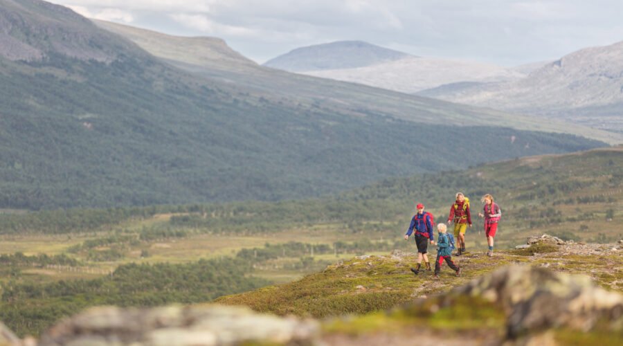Hiking in the Swedish mountains