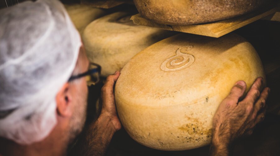 Award winning cheese