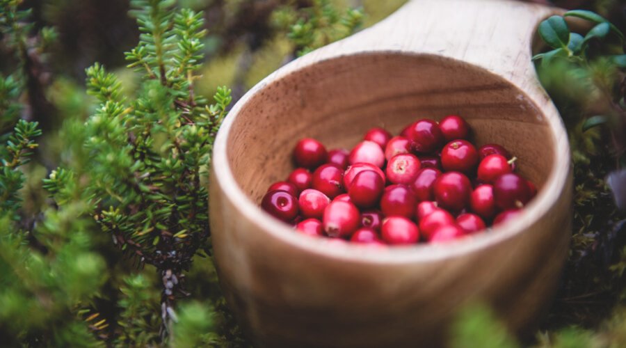 Lingonberries