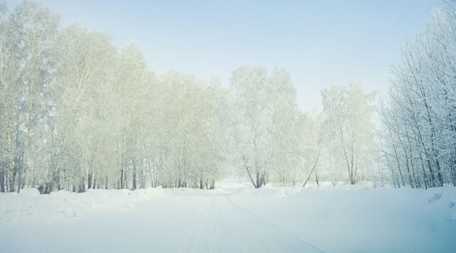 Swedish Lapland in Winter: 7 Honest Days of Aurora, Silence, and Slow Travel
